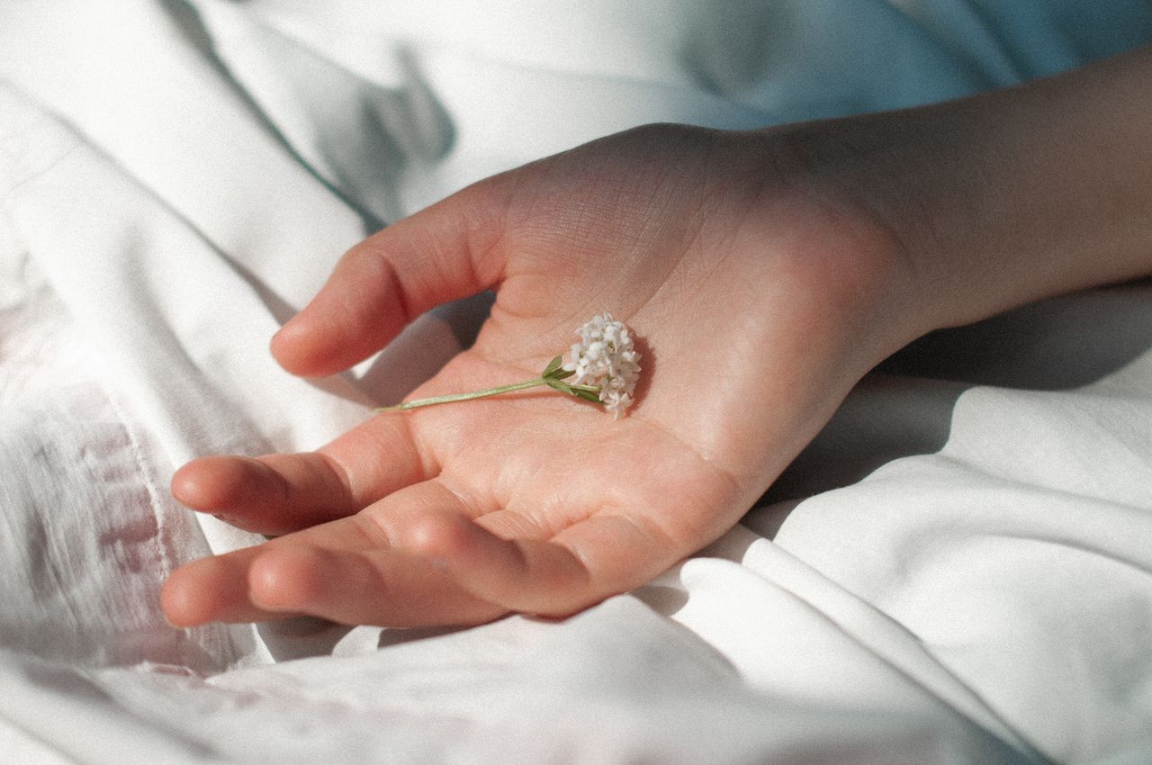 Close-up of a hand softly cradling a small flower on a white textile background.